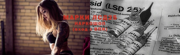 мяу мяу мука Аркадак