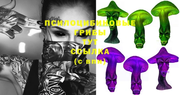 мяу мяу мука Аркадак