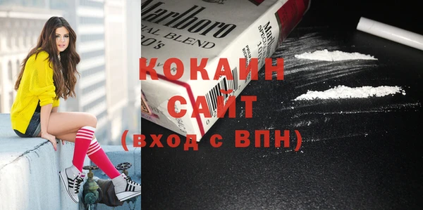 мяу мяу мука Аркадак
