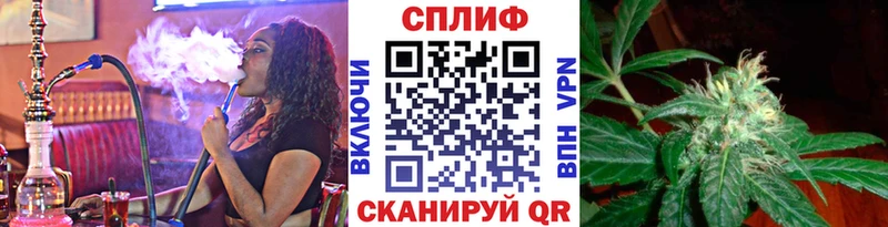 Шишки марихуана Amnesia Белорецк